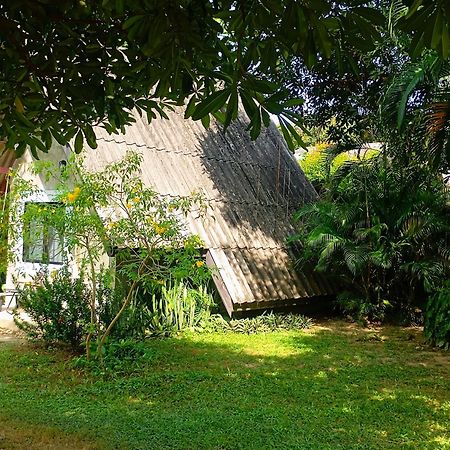 Cashewnut Tree Resort Ko Lanta Eksteriør billede